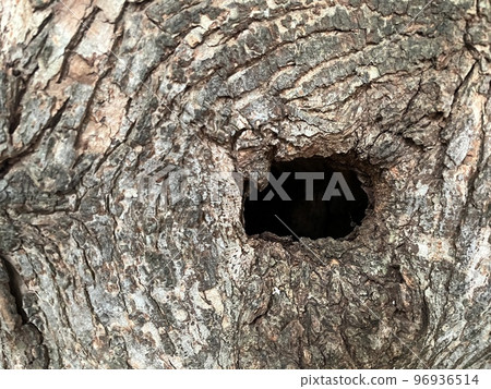in the hole of concern in the hole of concern 96936514