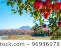 蘋果農場 96936978