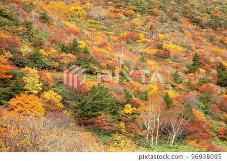 福島縣二本松市秋葉在山坡上蔓延的景色。 福島縣二本松市秋葉在山坡上蔓延的景色。 96938095