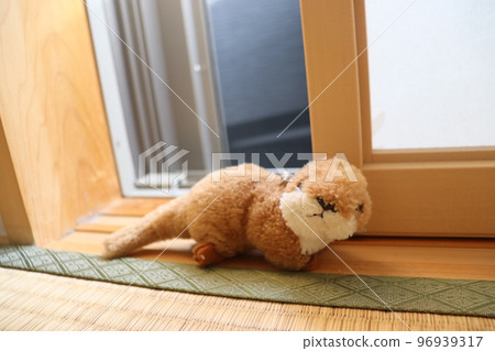 小動物盯著你 96939317