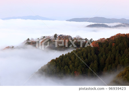 Heavenly Castle 7206 96939423