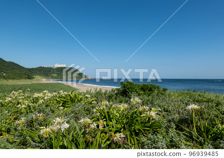 [Aichi Prefecture] Cape Irago 96939485