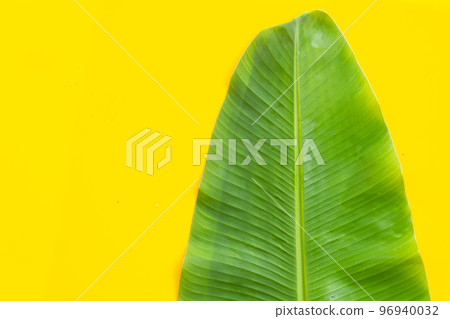 Banana leaf on yellow background. 96940032