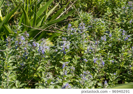 Hammock Hammock 96940291