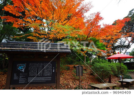 六義園染名門的楓葉 96940409