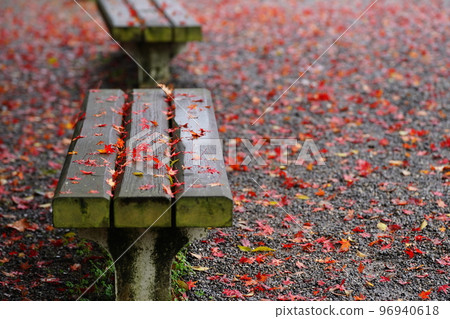 Autumn leaves in Kyoto Autumn leaves in Kyoto 96940618