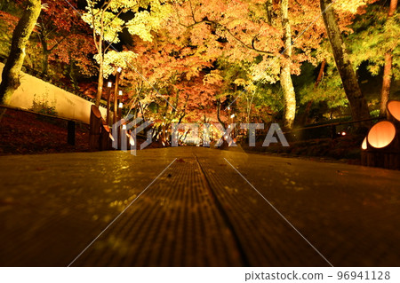 寶嚴院紅葉燈飾 寶嚴院紅葉燈飾 96941128