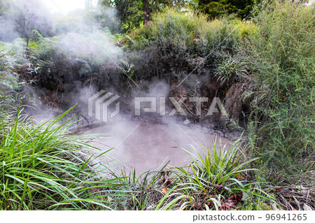 [羅托魯瓦] Kuirau 公園 96941265