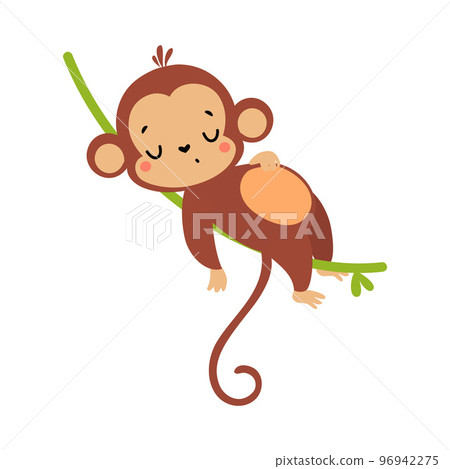Cute Playful Monkey with Long Tail Lying and Sleeping on Liana Vector Illustration 96942275