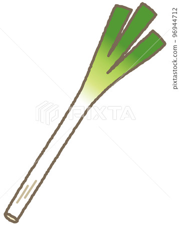 A long onion A long onion 96944712