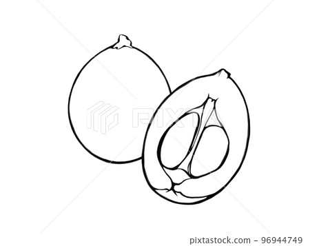 A simple line drawing illustration of a loquat fruit (some cut in half) A simple line drawing illustration of a loquat fruit (some cut in half) 96944749