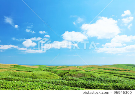從宗谷山看北海道夏日藍天風光 96946300