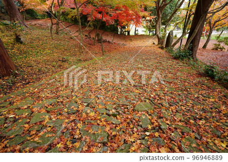 Fall foliage of Kyoto Yamadera Temple and Japanese maple leaves 96946889