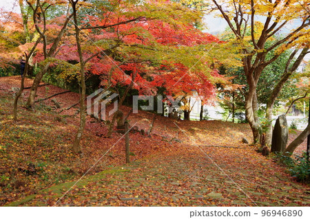 京都山寺的秋葉和日本楓葉 京都山寺的秋葉和日本楓葉 96946890