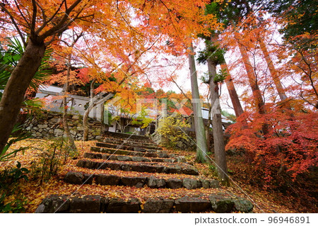 京都山寺的秋葉和日本楓葉 京都山寺的秋葉和日本楓葉 96946891