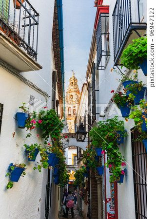 Spain Cordoba Small Diameter of Flowers 96947122