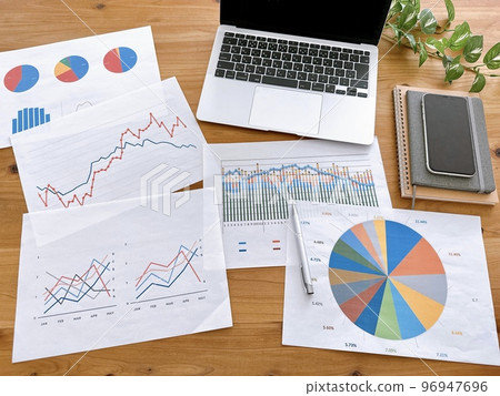 企業形像圖表和個人計算機 96947696