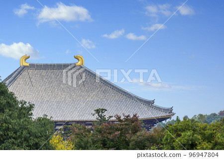 Nara Park, the roof of the Great Buddha Hall of Todaiji Temple and Shibi's landscape, autumn season Nara Park, the roof of the Great Buddha Hall of Todaiji Temple and Shibi's landscape, autumn season 96947804