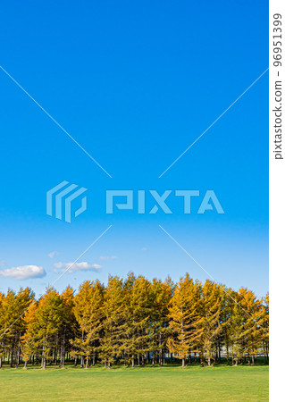 Scenery of Moerenuma Park in autumn in Hokkaido 96951399