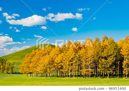北海道莫埃來沼公園秋景 96951400