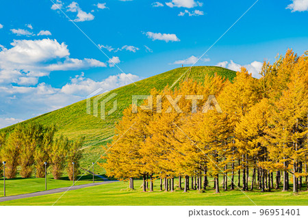 Scenery of Moerenuma Park in autumn in Hokkaido 96951401