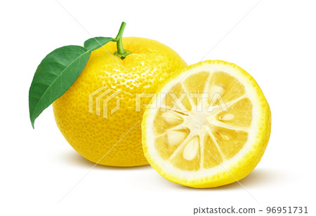 柚子柚子圖真實 96951731