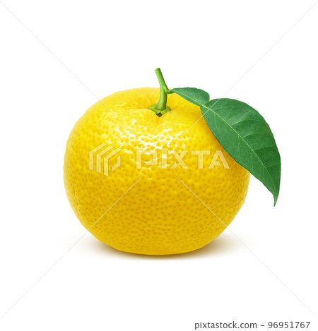柚子柚子圖真實 96951767
