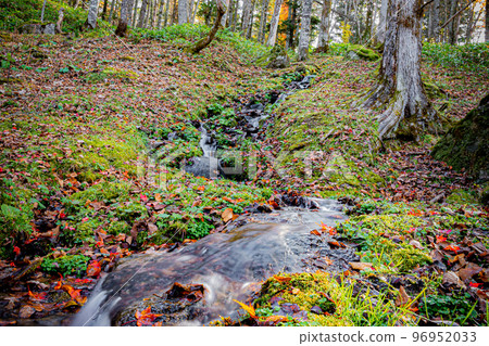 北海道深秋福原山莊風光 北海道深秋福原山莊風光 96952033
