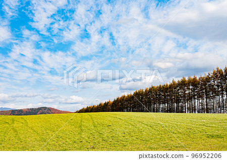Scenery of Shikaoi town in autumn in Hokkaido Scenery of Shikaoi town in autumn in Hokkaido 96952206