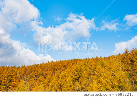 Scenery of Shikaoi town in autumn in Hokkaido Scenery of Shikaoi town in autumn in Hokkaido 96952213