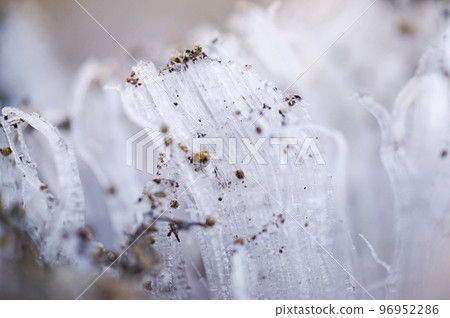 frost pillar frost pillar 96952286