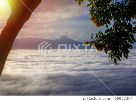 View of landscape nature and mist and mountain in morning light, View of landscape nature and mist and mountain in morning light, 96952394