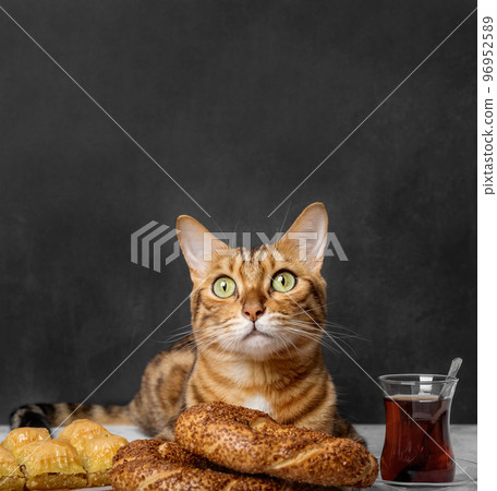 Traditions of Turkey - delicious baklava, simit with sesame seeds, Turkish tea and cat. Traditions of Turkey - delicious baklava, simit with sesame seeds, Turkish tea and cat. 96952589