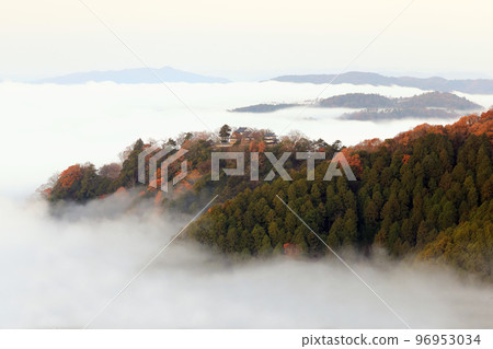 天堂城堡7222 天堂城堡7222 96953034