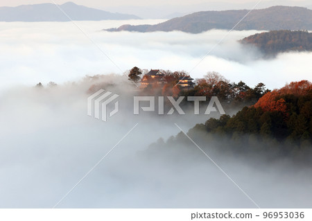 天堂城堡7231 天堂城堡7231 96953036