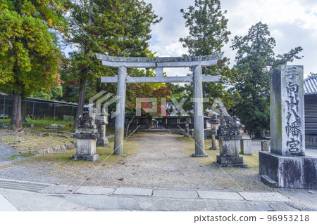 鐵向山八幡宮紅葉季（奈良縣奈良市） 96953218