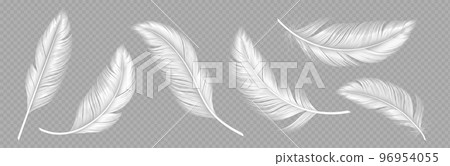 White soft feathers on transparent background White soft feathers on transparent background 96954055
