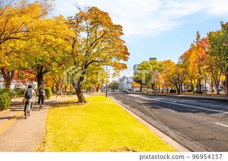 Looking east toward Peace Memorial Park from near Higashikannoncho. Please see the beautiful autumn leaves of Peace Boulevard. Hiroshima 96954157
