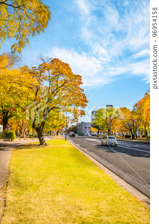 Looking east toward Peace Memorial Park from near Higashikannoncho. Please see the beautiful autumn leaves of Peace Boulevard. Hiroshima 96954158