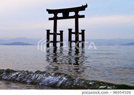 黎明時站在琵琶湖上的滋賀縣白須神社鳥居 96954509