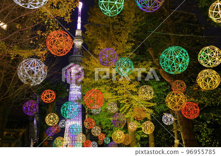東京墨田區牛島神社的燈飾 96955785