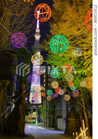 東京墨田區牛島神社的燈飾 96955812