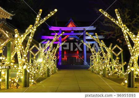 Illumination of Ushijima Shrine, Sumida Ward, Tokyo 96955893