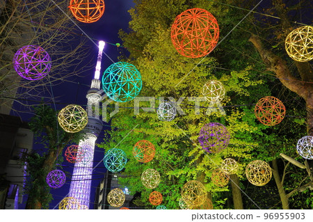 Illumination of Ushijima Shrine, Sumida Ward, Tokyo 96955903