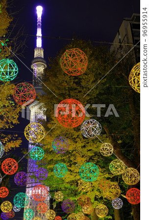 Illumination of Ushijima Shrine, Sumida Ward, Tokyo 96955914