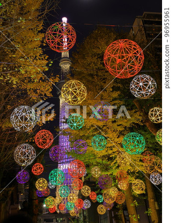 Illumination of Ushijima Shrine, Sumida Ward, Tokyo 96955961