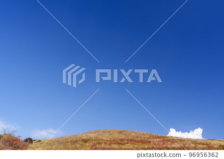 View of Mt. Wakakusa from the north gate at the foot of Mt. Wakakusa, the season of autumn leaves 96956362