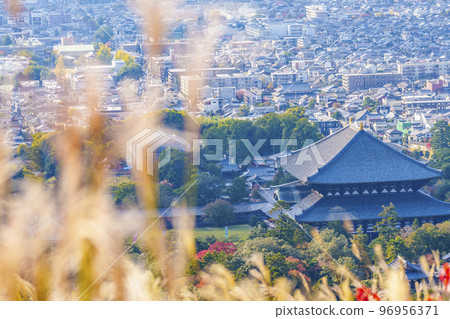 紅葉季節若草山蒲葦下的東大寺大佛殿和奈良街景 96956371