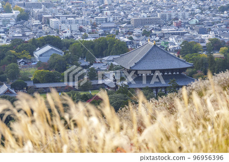 紅葉季節若草山蒲葦下的東大寺大佛殿和奈良街景 96956396