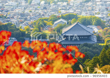 若草山和紅色的奈良市景,東大寺大佛殿 若草山和紅色的奈良市景,東大寺大佛殿 96956403